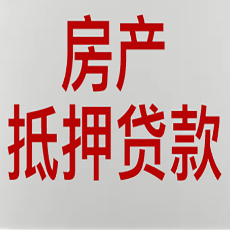番阳镇贷款公司新渝启服推荐选择
